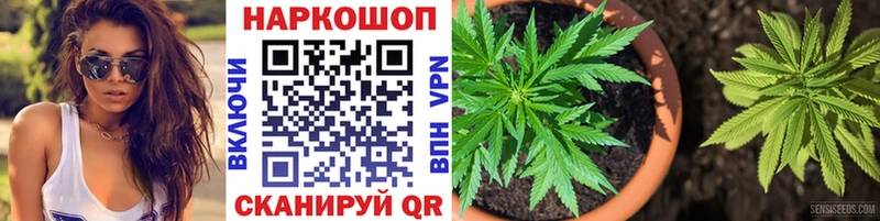 Наркошоп купить ГАШИШ  СК  Меф мяу мяу  Конопля  КОКАИН  Луза