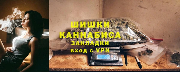 твердый Шадринск
