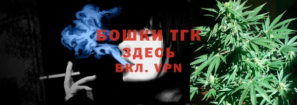 твердый Шадринск