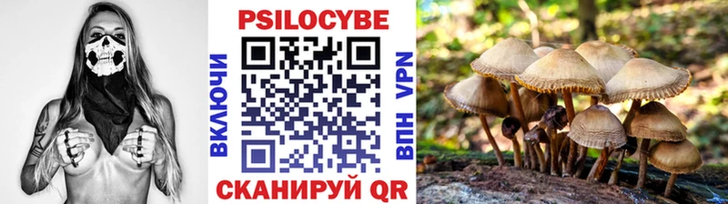 Купить  Луза  Псилоцибиновые грибы Psilocybine cubensis 